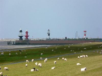 Brunsb&uuml;ttel Mole 1,2,3,4