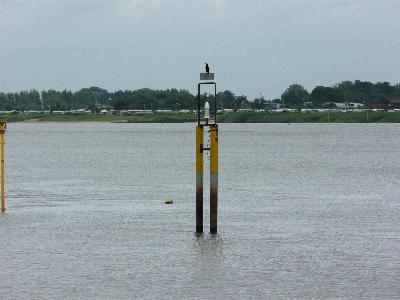 Golzwarden F&auml;hre