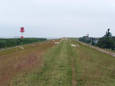 Hollerwettern/alt + UF Brokdorf