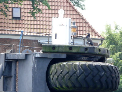 Feuer mit neuer Laterne